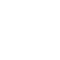 Doornsteeg Nijkerk logo
